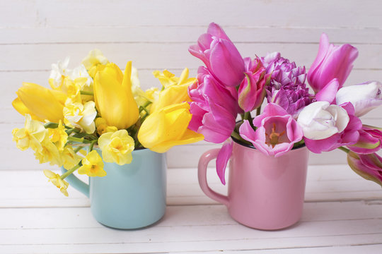 Bright yellow  and pink spring   flowers in cups on white  wooden background.