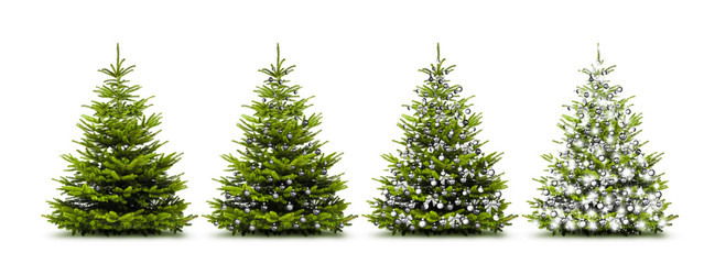 Silberne Weihnachtsbäume