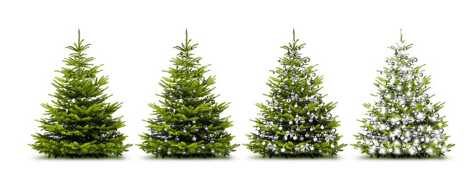 Silberne Weihnachtsb&auml;ume