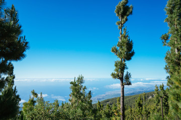Fototapeta na wymiar Nationalpark El Teide, Teneriffa, 2017