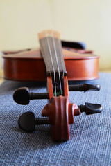 A beautiful violin