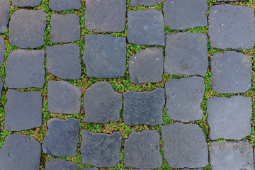 Ancient granite stone floor tile with green grass as background in Rome, Italy