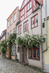 Alte Häuser in Lübeck mit schönen Rosen verziert