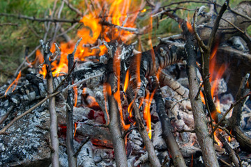 Small branches burn in a fire in the open air