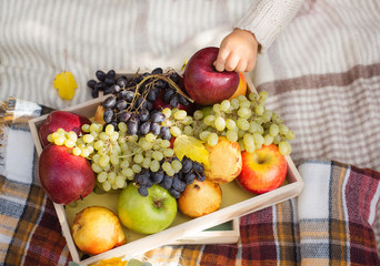Baby holding apple picnic box yellow orange red green fruits grape apples cozy plaid pillows background