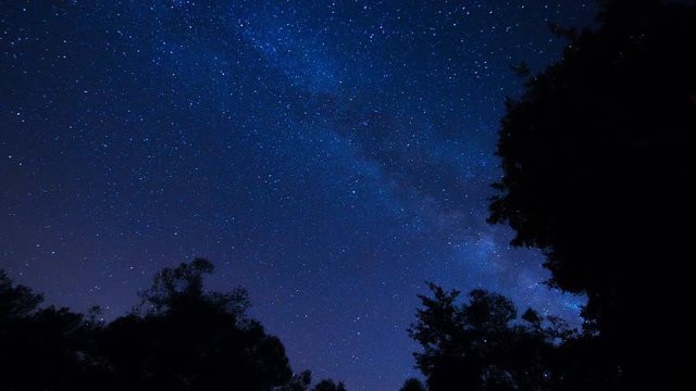 Incredible night stars Milky way time lapse with forest trees foreground