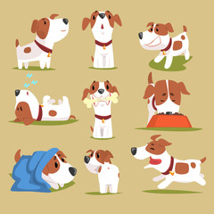 Funny puppy daily routine set, cute little dog in his evereday activity colorful character