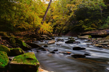 Obraz premium The River