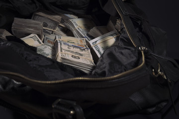 Money in bag
