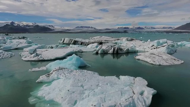 Flocks of seagulls rest on pieces of glaciers. Andreev.