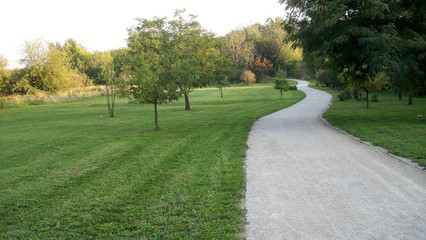 Early autumn in the park in the evening