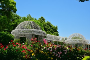 フラワーガーデン