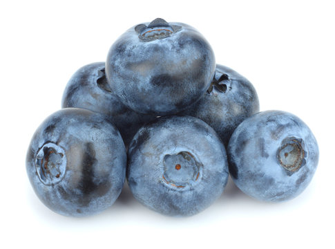 blueberries isolated on white background. macro