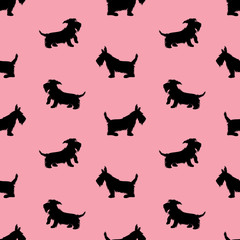 Seamless pattern with black dogs silhouettes, scotchterrier on p