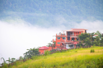  A beautiful sunshine morning. A orange color building in the golden meadow. Background is forest with mist.