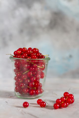 Red currants in the jar. Gray background.