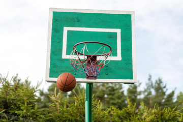 Vintage Old Basketball Hoop Outside in the garden