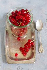 Red currants in the jar. Gray background.
