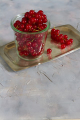 Red currants in the jar. Gray background.