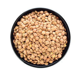 lentils in a bowl on white background