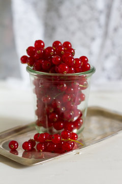 Red currants in the jar. Gray background.