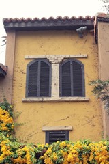 Fototapeta na wymiar Windows and brick wall with ivy tree and flower