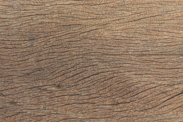 texture of bark, wood grain background