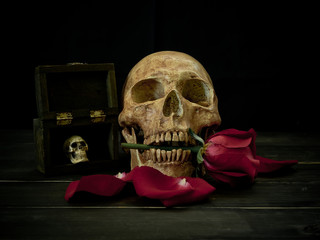 Still life of flowers and skull