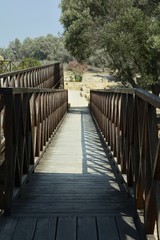 Wooden bridge for descent and ascent with railing