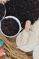 jasmine rice and organic riceberry rice