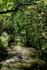 Fototapeta na wymiar Bach fließt durch einen Märchenwald 