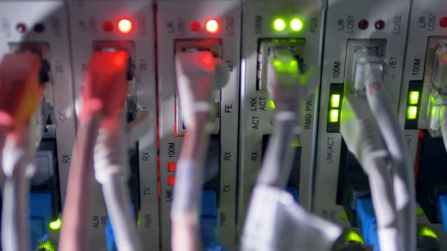A close-up of Ethernet cables plugged into a switch. 