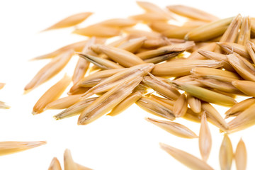 Grain of oats isolated on white background