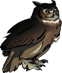 owl, vector, white, illustration, isolated, cartoon, animal, art, cute, bird, background, happy, wild, wildlife, design, nature, silhouette, fun, sign, mascot, drawing, character, funny, wing, wise