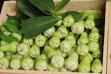 rose apple sweet fruit in the market