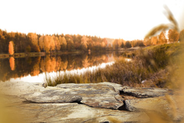 free space for your decoration 