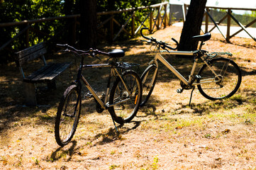 Fototapeta na wymiar biciclette