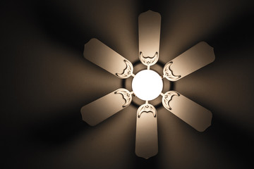ceiling fan