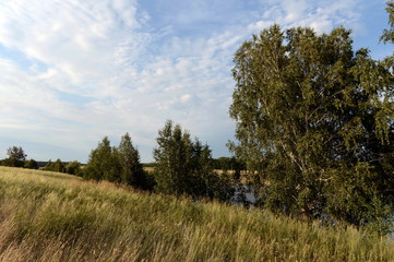 Fototapeta na wymiar Summer landscape. Altai region. Russia