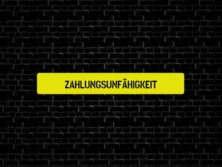 Fototapeta premium ZAHLUNGSUNFÄHIGKEIT - Bilder mit Wörtern aus dem Bereich Insolvenz, Wort, Bild, Illustration