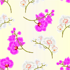 Obraz na płótnie Canvas Seamless texture branches orchid Phalaenopsis purple and white flowers tropical plants vintage vector botanical illustration for design hand draw