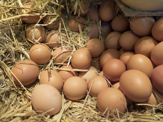 Fresh brown eggs