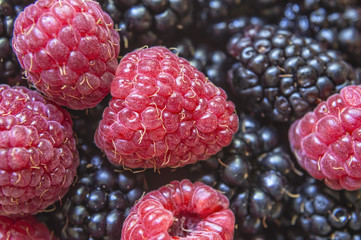  Close up of raspberries and blackberries fruit.