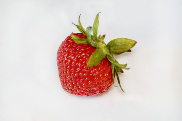 Bedraggled Strawberry