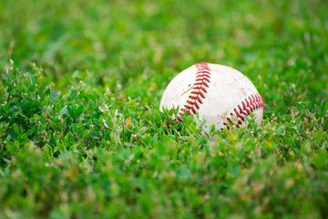 Baseball