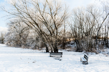 Beautiful winter scene with two benches
