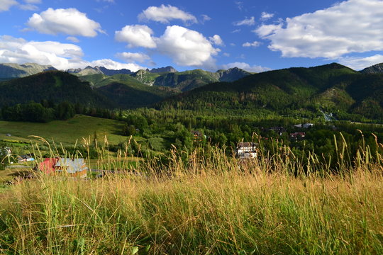 Fototapeta Góry Tatry - widok z Antałówki