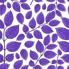 Seamless pattern of beautiful purple birch, honeysuckle leaves, twig, branches, sketch style vector illustration on white background. Hand drawn honeysuckle twig seamless pattern