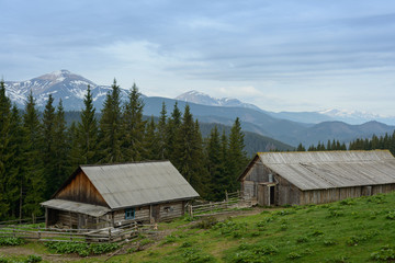Farm in the Carpathians on the background of snow-capped mountains.
