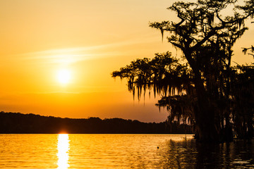 Swamp Sunset